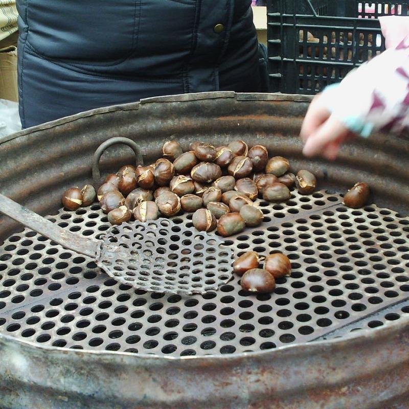 Hemengoa%20ez%20den%20fruitua%20da%20gaztaina_%20bainan%20gure%20inguramenari%20egokitu%20dena