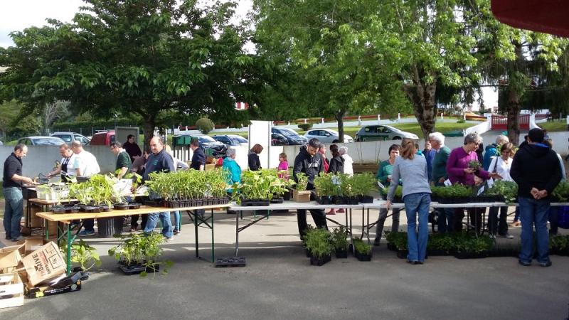 udaberriaren_besta_ezpeletako_eskolak_antolaturik