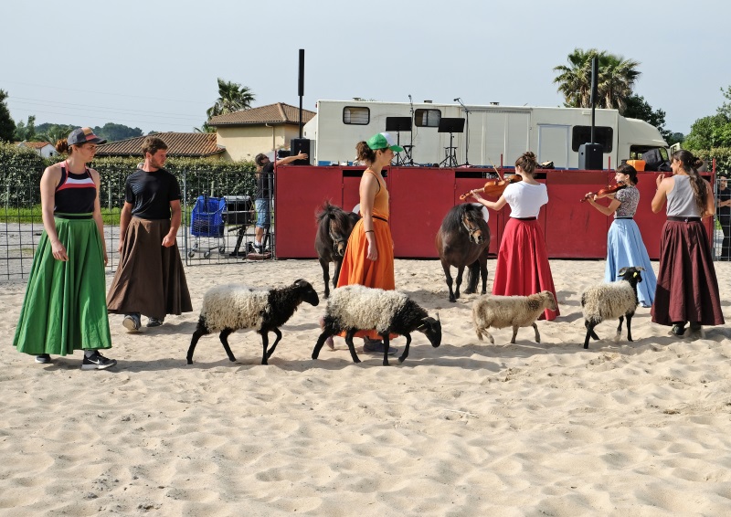 animalia_ikusgarria_bidarten_ostegunero