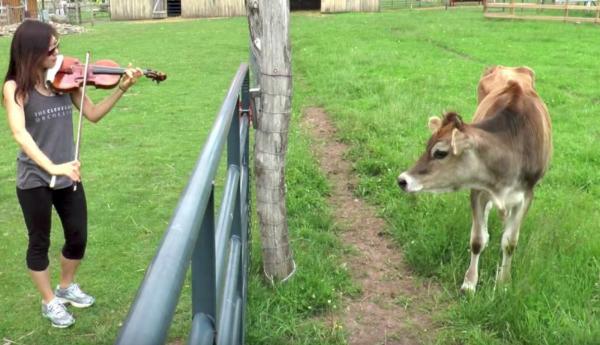 biolina_haurtzaina_eta_auzoak