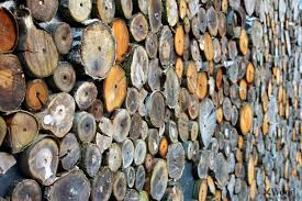 egurraren_erabilpenaz