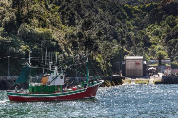 zaharberritu_egurrezkoa