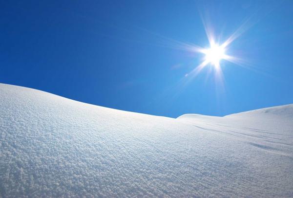 ileak_kamerak_eta_errautsa