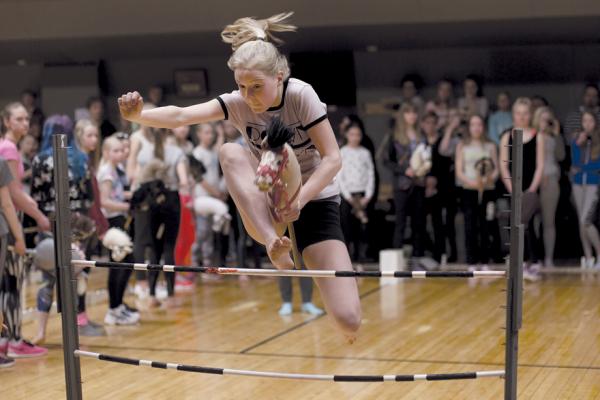 zaldi_lasterketa_desberdin_bat_