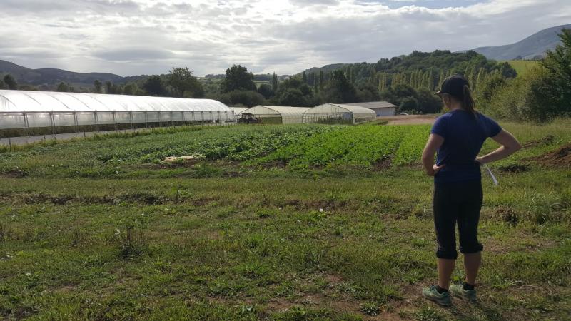 mamutxen_ezinbesteko_rola_baratzegintza_biologikoan