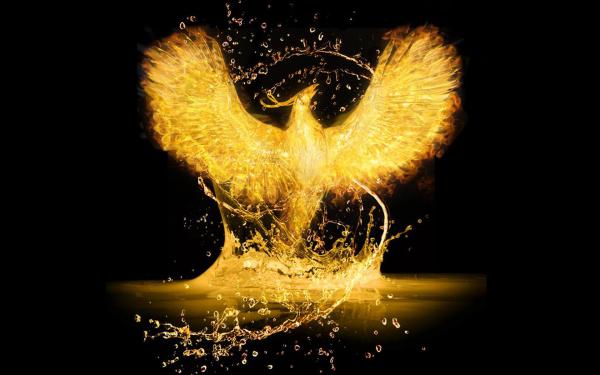 65_000_sms_grimbergen_eta_biluzik_interneten