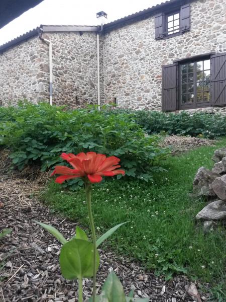 permakultura_bartzegintza_sanoa_