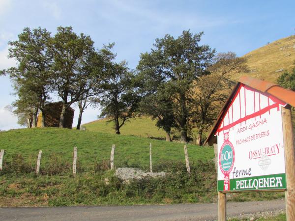 idokiren_udaberriko_feria