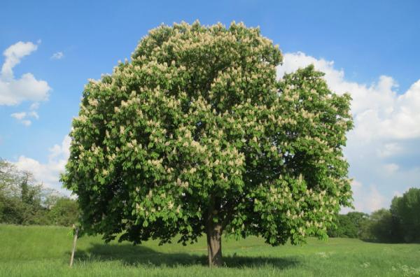 asturiak_eta_galiziara_gabriel_durrutyrekin