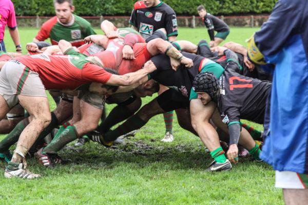 basusarri_arrangoitzek_aintzina_segitzen_du