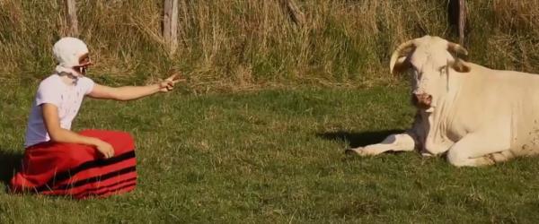 klipklap_lehiaketa_bidean_da_jo_aitzina