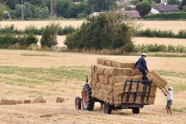 laborantzarentzat_lurrak_atxiki