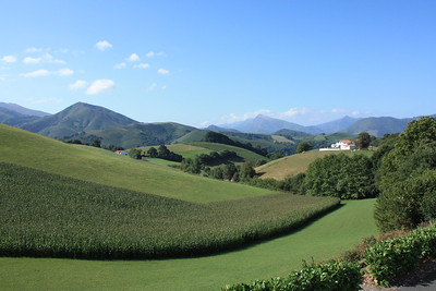 urtarrilaren_29ko_makea_eta_lekorneko_berriak