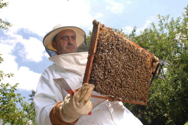 erleak_bestan_bidarrain