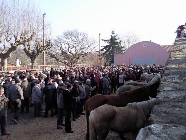 asteburu_bat_pottoken_artean