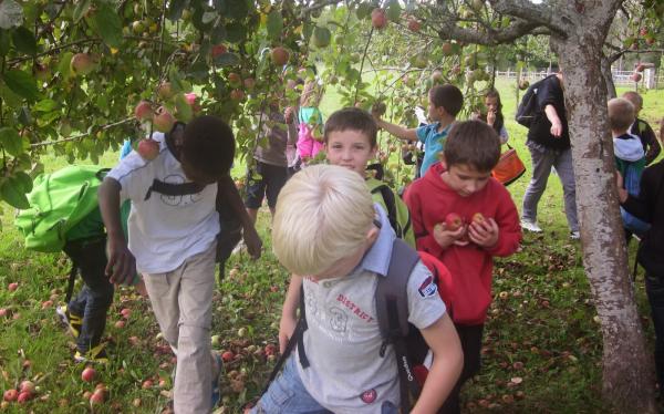 ikastaldia_sagarrondopetan