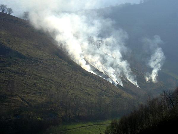 sua_gure_bazterretan