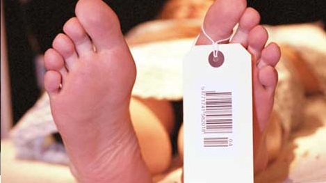 izaia_heriotzatik_itzuli_eta_suge_bat_komunetan