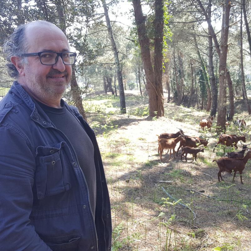 ahuntzen_lapar_gosea_erabiliz_suak_saihestu