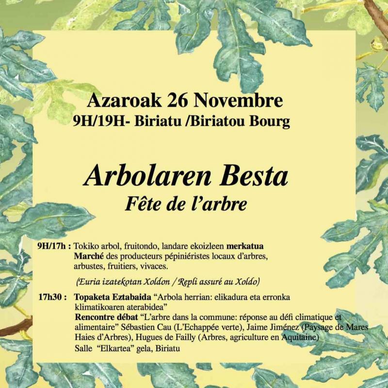 arbolaren_besta_izango_da_igandean_biriatun