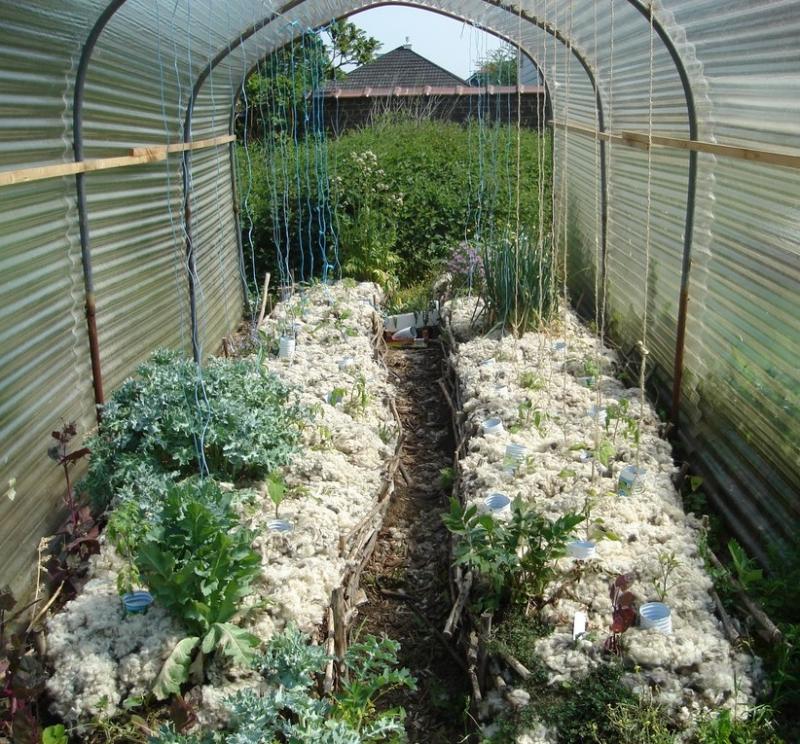 ardi_ilea_bareak_urruntzeko