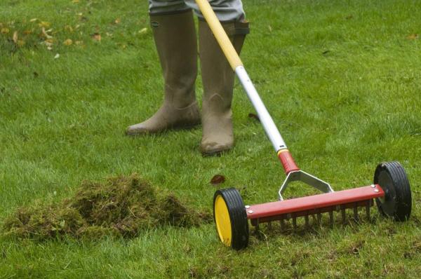 lurra_bustia_da_bainan_baratzean_bada_zer_egin