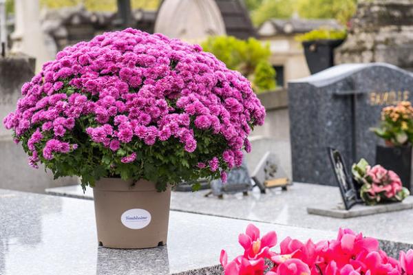 hilerrietan_bizitzea_kondenatua_den_loreaz