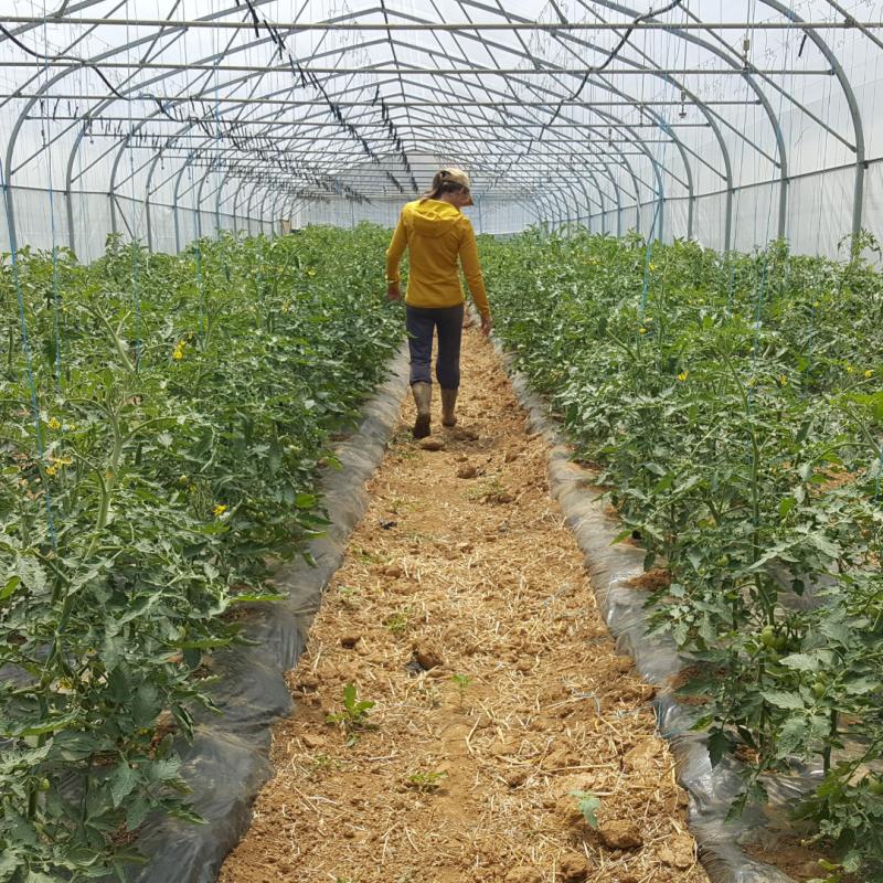 Garro%20kooperatibak%20bere%20eginkortasuna%20frogatzen%20du%2010%20urteko%20ibilbidearen%20ondotik