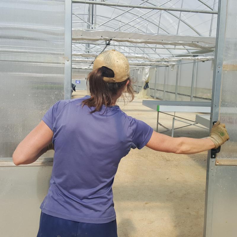 Garrok%20berak%20erein%20landare%20ttipiak%20salduko%20ditu%20larunbat%20honetatik%20aitzina