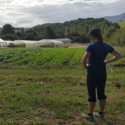 Martxoko%20lana_%20udaberriko%20barazkien%20onerako