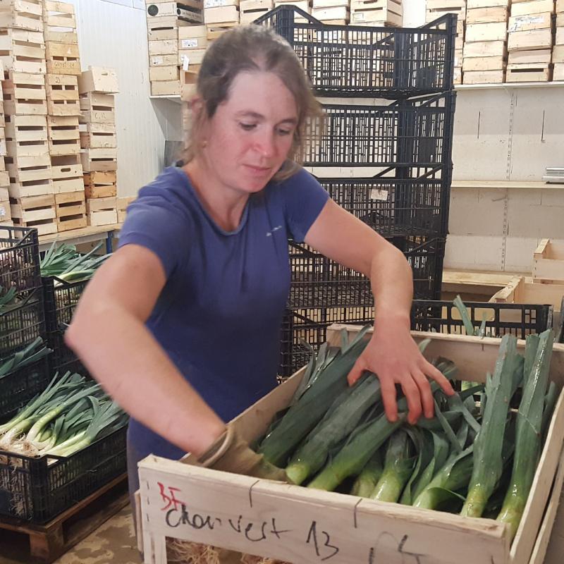 barazkien_banaketak_denbora_ainitz_hartzen_die_garroko_baratzezainei