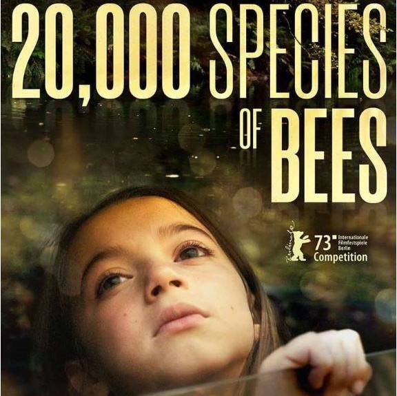 doketan_topa_festibalean_zazpi_euskal_film_aurkeztuko_dituzte