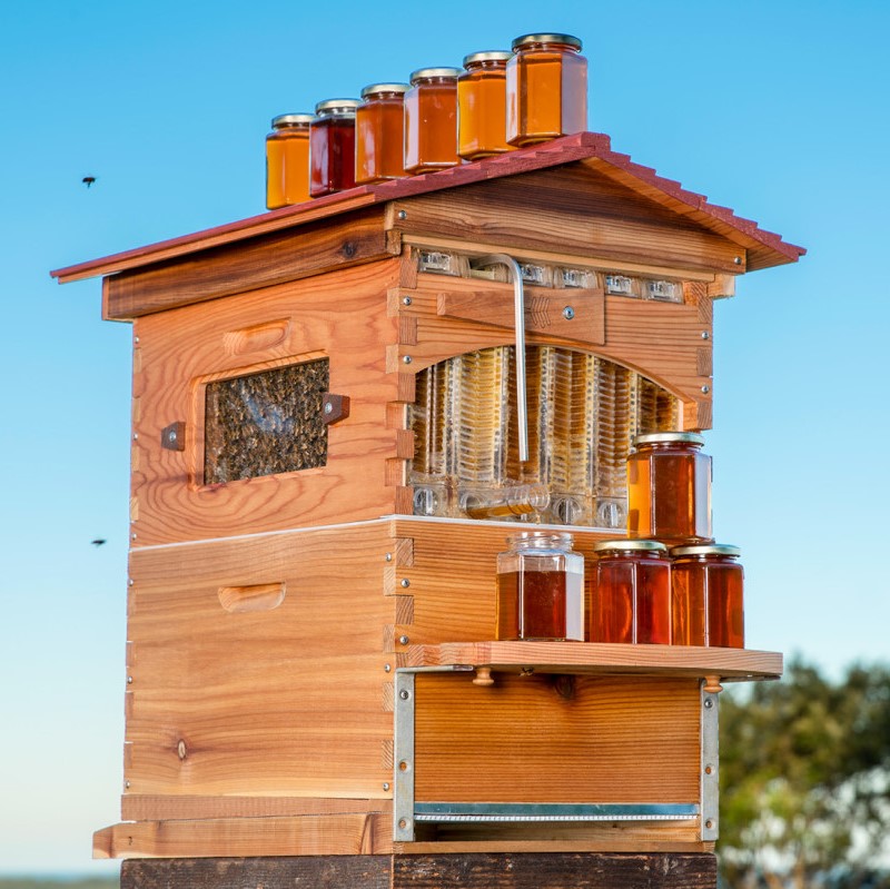 Ikusi%20behar%20da%20norendako%20den%20abantaila_%20erlearendako%20ala%20erlezainarendako