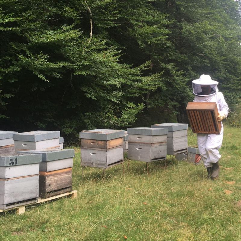 fred_forsans_erlezainarekin_itsasutik_iratira