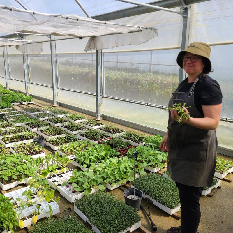 baratzearentzat_landare_txikiak_erosteko_parada_hilabete_batez_garron