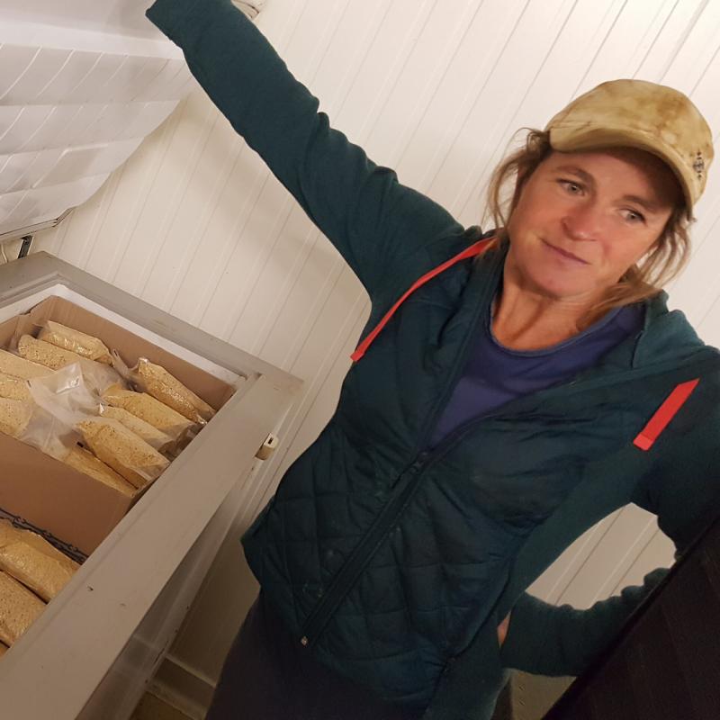 konfinamendua_udako_idortea_edota_udazkeneko_uzta_garroren_berri_hartu_dugu