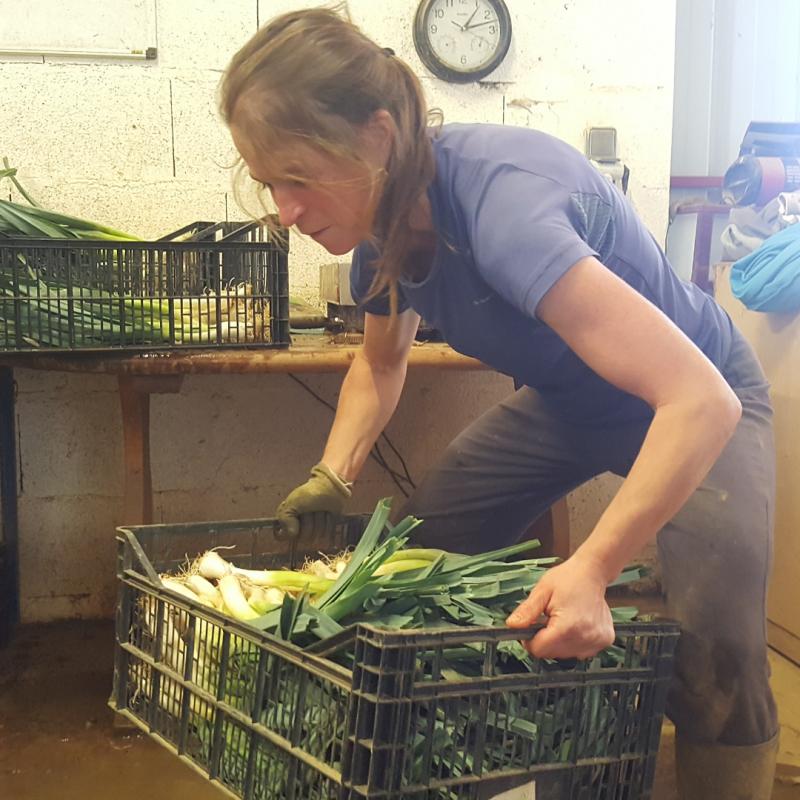 Urtean%20200%20tona%20barazki%20mugitzen%20ditu%20langile%20bakoitzak