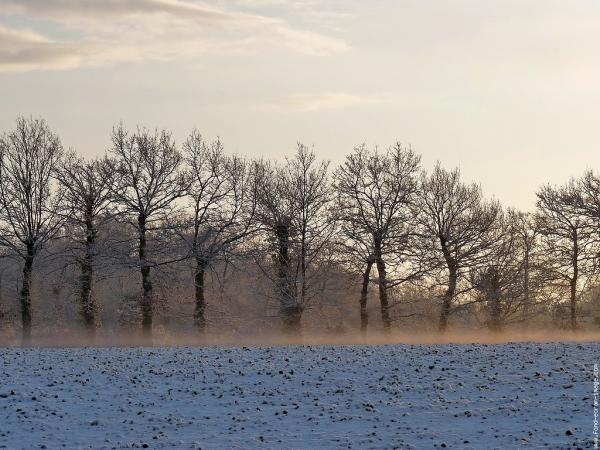 sasoineko_baratzegintza