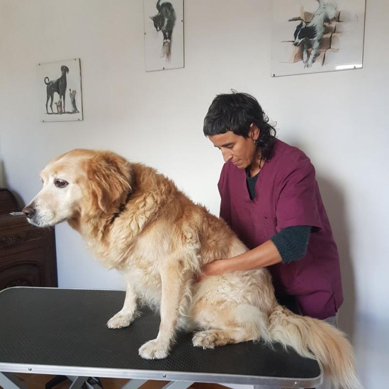 haizea_isasa_denborak_errespetatu_behar_dira_animali_bakoitzarekin_indibiduak_dira_