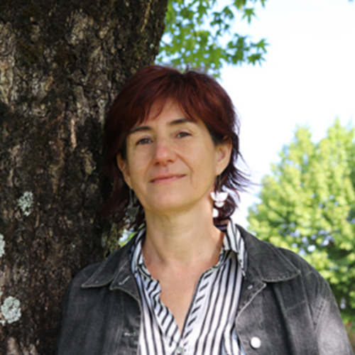 ikas_en_sartzea_argitalpen_berriekin