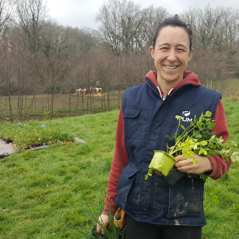 maylis_etxegoien_azkaindarrak_bere_etxeko_lurretan_instalatu_du_indartia_landaretegia_