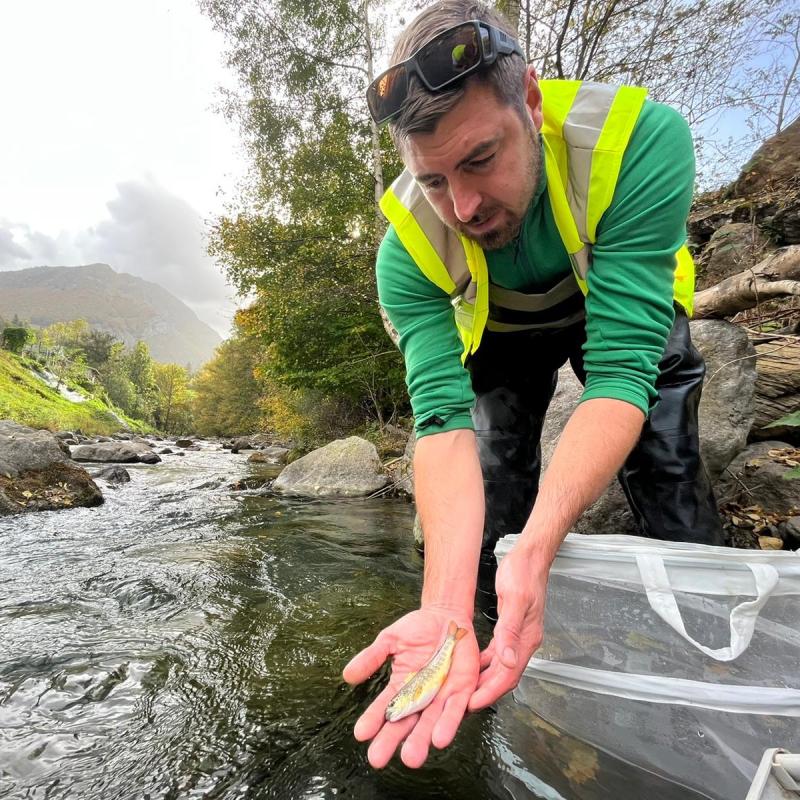 Elektrikazko%20arrainketa_%20espezie%20kontaketarentzat