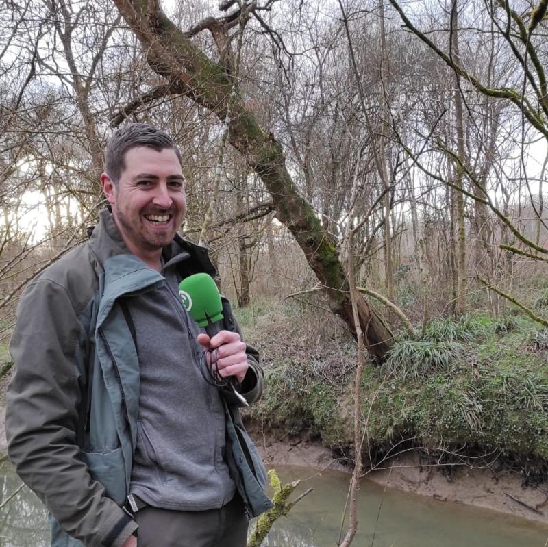 ardanabia_bazterrean_abereen_aztarnei_begira