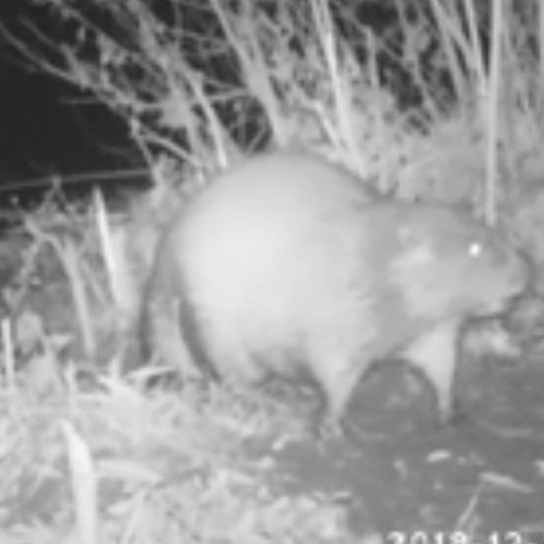 Aturri%20bazterrean%20kuartza_%20kastorea_%20ur%20garratoina%20edota%20zikoina%20ikusten%20ahal%20dira