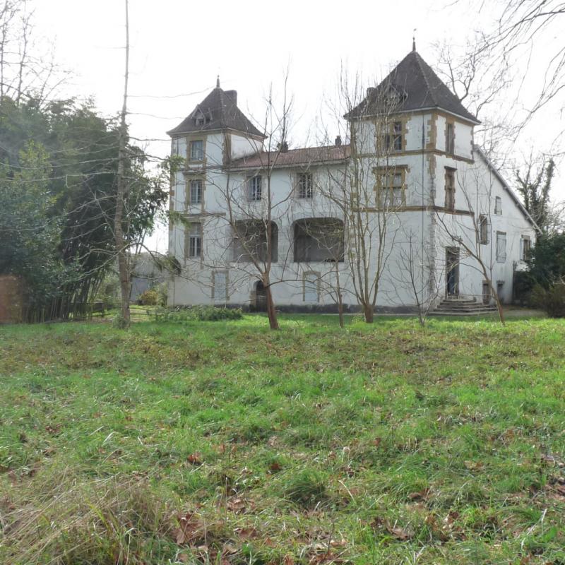 hiri_erdiko_arnas_gune_berdeaz_jabetu_da_hiriburuko_herriko_etxea