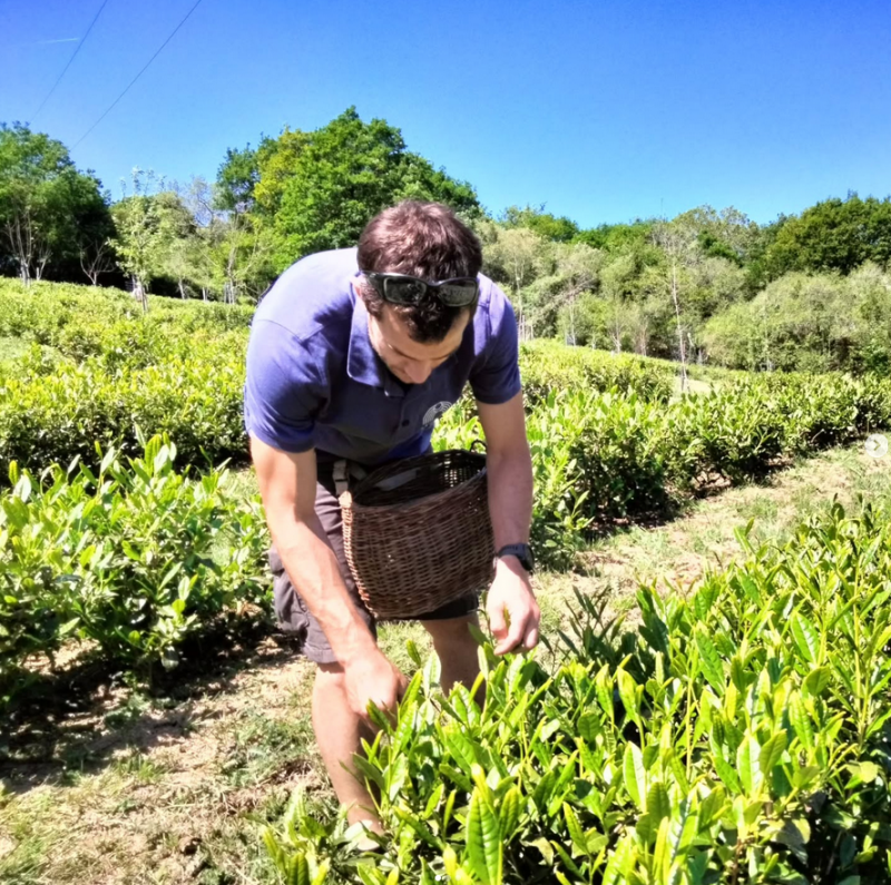 Lekuko%20te%20ekoizleak%20ezagutzeko%20eguna%20larunbatean