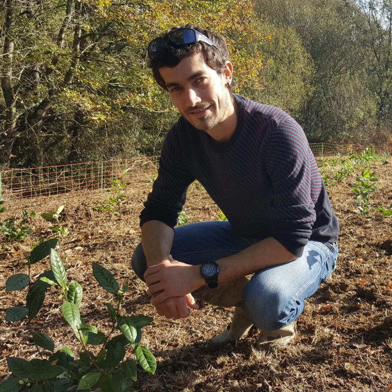 euskal_herrian_lehen_te_ekoizlea_den_mikel_esclamadon_instalatu_da_uztaritzeko_lurretan