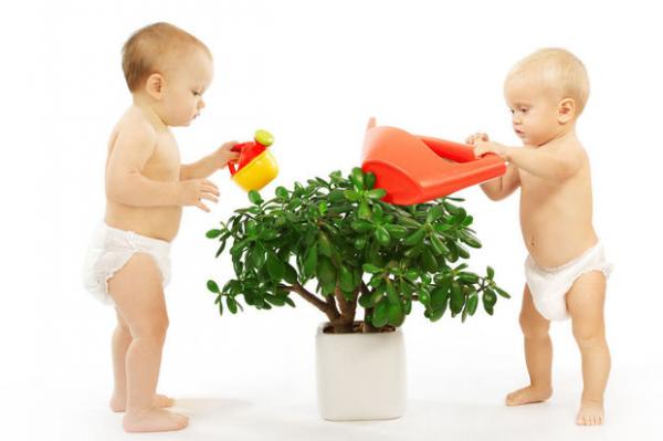 nini_xatarra_lore_ontzi_bilakatzen_da_birziklapenari_esker