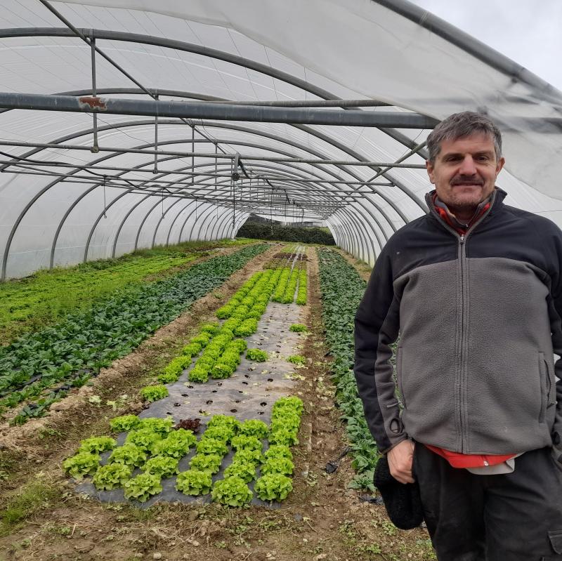 Hotza%20azkenean%20hor%20da