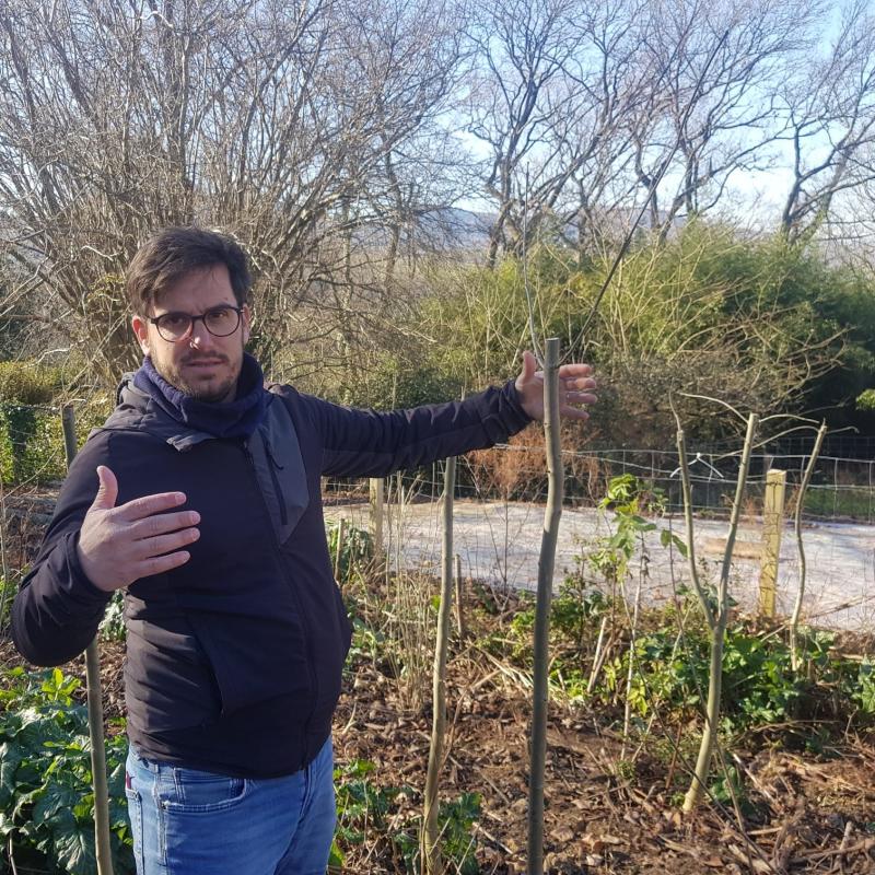 japoniar_piper_belar_inbaditzailearen_kontrolatzeko_esperientza_desberdinak_eramaten_dituzte